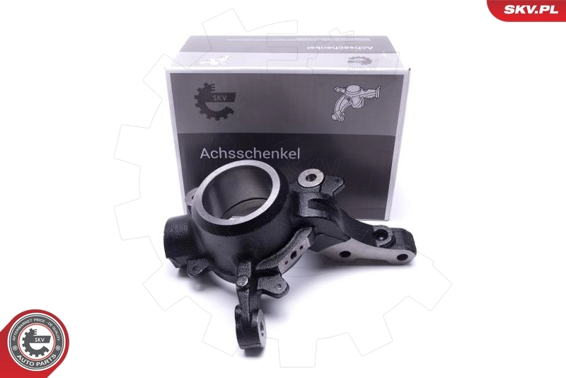 Steering Knuckle, wheel suspension